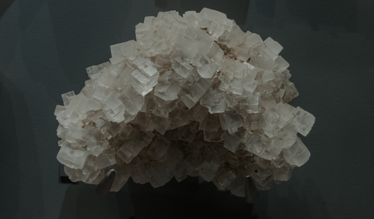 Ingredienti freschi e sale marino